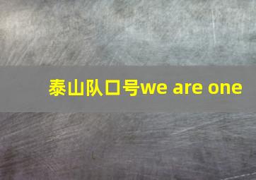 泰山队口号we are one